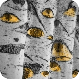 👁 emoji The Bill the mind @anime4_arts Telegram sticker 13 of 22