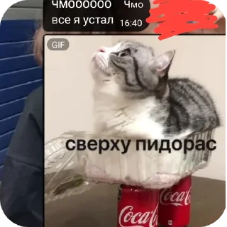 Sticker from чмо