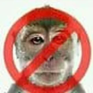 Sticker from Мемы