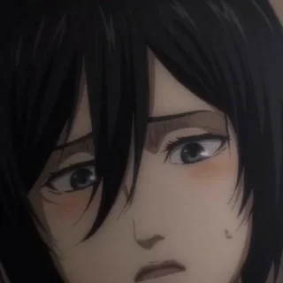 Sticker from Mikasa Ackerman