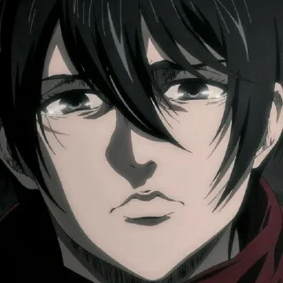 Sticker from Mikasa Ackerman