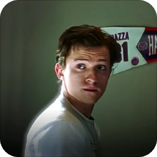 Sticker from 🕷️Peter Parker FFH🕷️ @nikishus