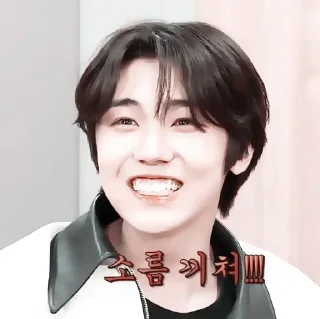 💗 emoji 𝚂𝙴𝙾𝙽𝙶𝙼𝙸𝙽 @helpbyjennie Telegram sticker 18 of 54