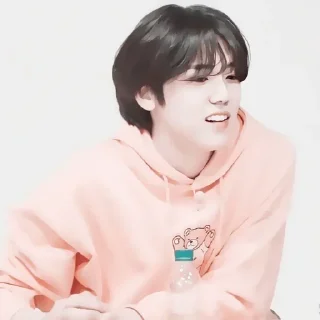 💗 emoji 𝚂𝙴𝙾𝙽𝙶𝙼𝙸𝙽 @helpbyjennie Telegram sticker 24 of 54