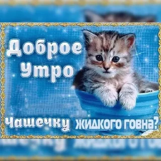 Sticker from Открытки | @emojis4