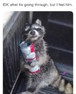 Sticker from raccoon