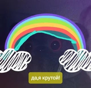 Sticker from Коты-птицы-мемы