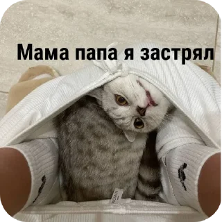 Sticker from Дрейко от @KozziBE6