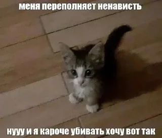 Sticker from Кисы наркоши