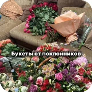 🌸 emoji Дора :@bisa_ios94940 Telegram sticker 7 of 9