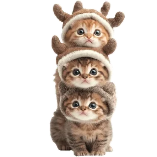 Sticker from Зимние котики @Nyasticks