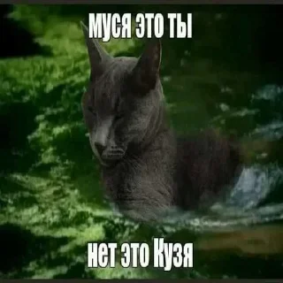 🔥 emoji БОЛЬШЕ ⇨ @CLOOBHUB МУСЯ ЭТО ТЫ СТИКЕРЫ Telegram sticker 16 of 64