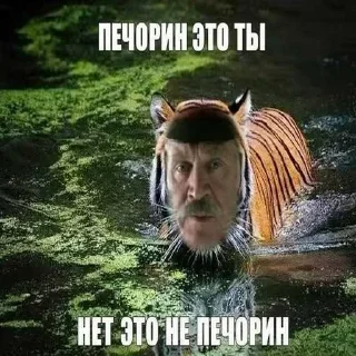 🔥 emoji БОЛЬШЕ ⇨ @CLOOBHUB МУСЯ ЭТО ТЫ СТИКЕРЫ Telegram sticker 17 of 64