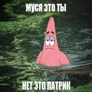 🔥 emoji БОЛЬШЕ ⇨ @CLOOBHUB МУСЯ ЭТО ТЫ СТИКЕРЫ Telegram sticker 7 of 64