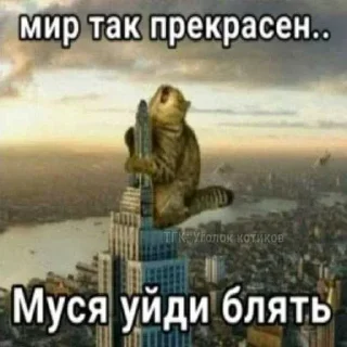 Sticker from БОЛЬШЕ ⇨ @CLOOBHUB МУСЯ ЭТО ТЫ СТИКЕРЫ