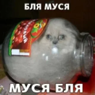 🔥 emoji БОЛЬШЕ ⇨ @CLOOBHUB МУСЯ ЭТО ТЫ СТИКЕРЫ Telegram sticker 21 of 64