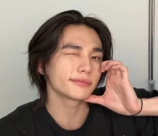 🫶 emoji Stray kids by Ukraine :: @ifusickme Telegram sticker 23 of 116