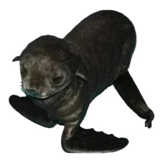 Sticker from Silly seal