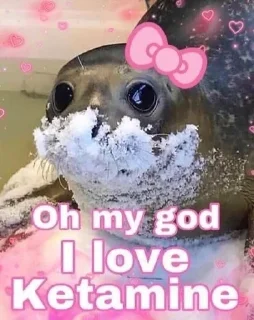 🌟 emoji seals Telegram sticker 22 of 113