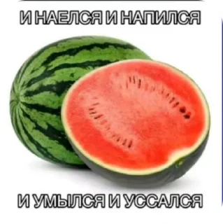 🌟 emoji Рандомные мемы Telegram sticker 13 of 80