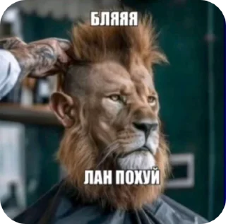 🌟 emoji Рандомные мемы Telegram sticker 3 of 80