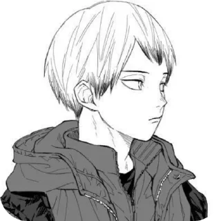 🧥 emoji 𝒦𝒾𝓉𝒶 𝒮𝒽𝒾𝓃𝓈𝓊𝓀𝑒 @suguruxxx Telegram sticker 5 of 63