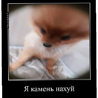 😄 emoji Лёня жирный уебан Telegram sticker 15 of 19