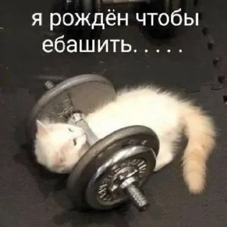Sticker from Фразочки