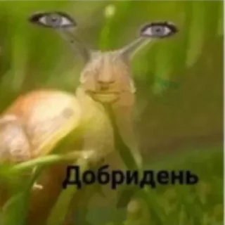 стікери ненормальної sticker 1