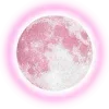 🥧 emoji @Xbrhmx7 ~ @r_sns 🪩 Telegram sticker 11 of 107
