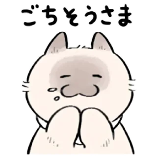 Sticker from cute kitty . . 🤍 @Kenai_1