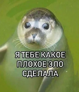 🌟 emoji котики как смысл жизни Telegram sticker 12 of 112