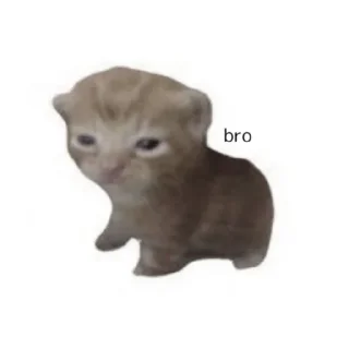 Sticker from котики как смысл жизни