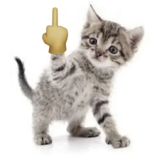 Sticker from котики как смысл жизни