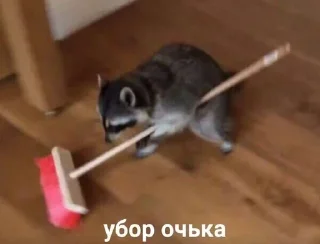 🤓 emoji котики как смысл жизни Telegram sticker 7 of 112