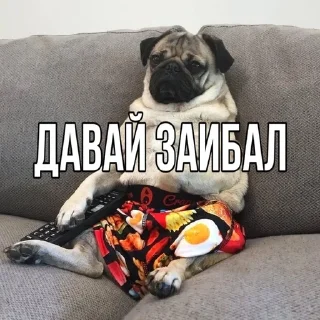 🌟 emoji ttbigwstefan Telegram sticker 21 of 64