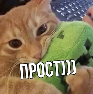 🌟 emoji ttbigwstefan Telegram sticker 19 of 64