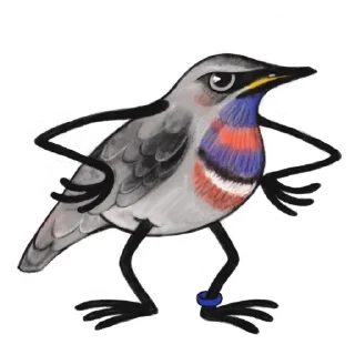 Sticker from volost'birds