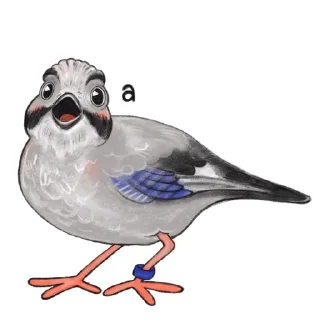 Sticker from volost'birds