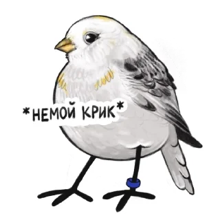Sticker from volost'birds