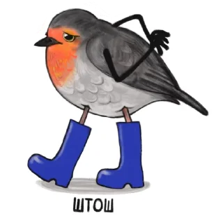 Sticker from volost'birds