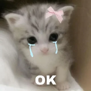 Sticker from Kitten