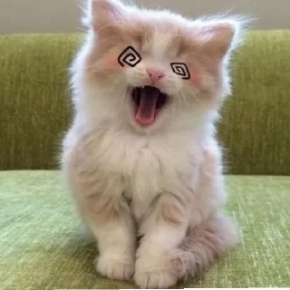 Sticker from Kitten