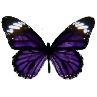 Sticker from [🦋] 𝙆𝙖𝙣𝙖𝙚 @sterlosstick