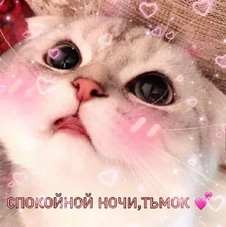 insta skkromen 🫶🏻 sticker 4