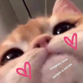 insta skkromen 🫶🏻 sticker 3