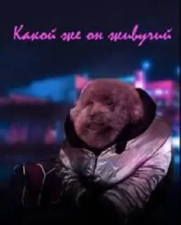 Sticker from Ипучий