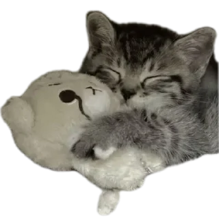 😴 emoji <3 Telegram sticker 17 of 54