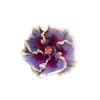 Sticker from 𝐅𝐥𝐨𝐰𝐞𝐫𝐬 🌸 @EVXSSQ