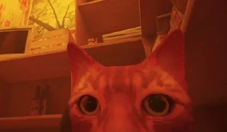 Sticker from кітики :3